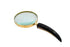 Horn Handle Magnifying Glass - Large - Saltbox Sash