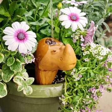 Rhino Terracotta Self Watering Plant Spike - Saltbox Sash