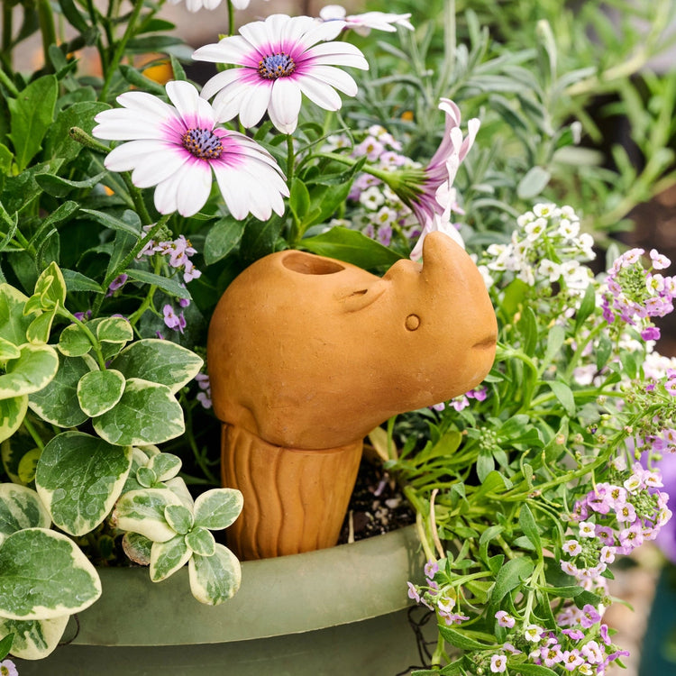 Rhino Terracotta Self Watering Plant Spike - Saltbox Sash