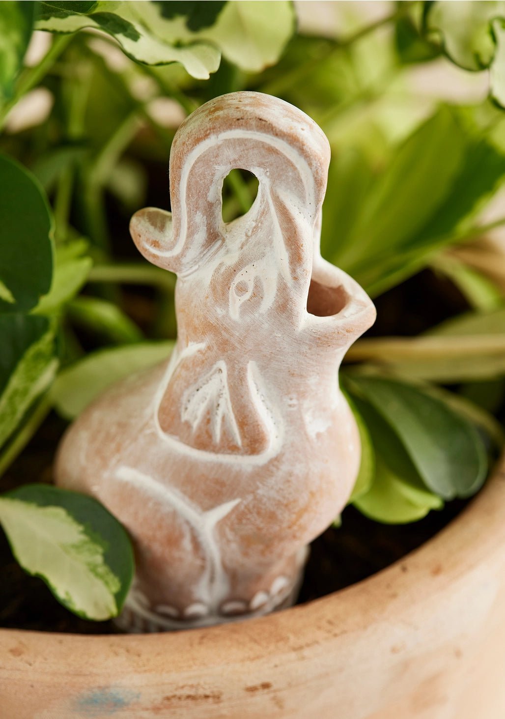Terracotta Elephant Plant Watering Spike - Saltbox Sash