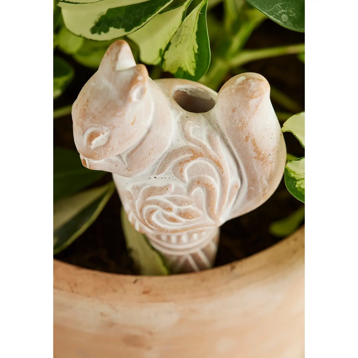 Terracotta Squirrel Plant Watering Spike - Saltbox Sash