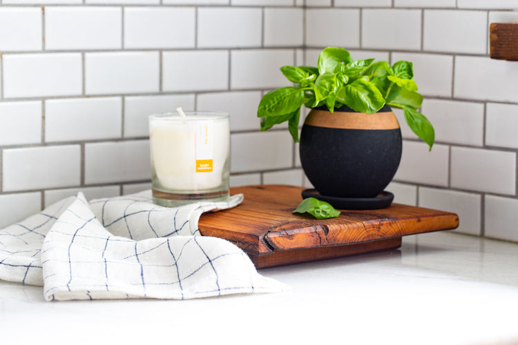 Hand-Painted Round Planter with Drainage Plate - Saltbox Sash