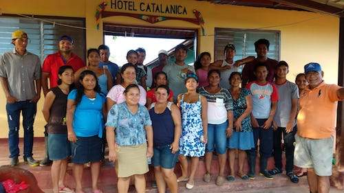 Painted Dragonfly Luminary - Saltbox Sash