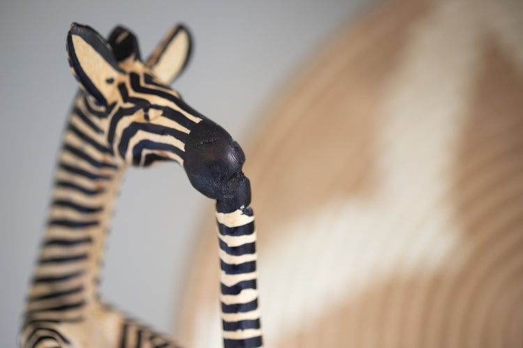 Sitting Zebra Reader - Saltbox Sash