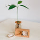 Bija Seed Sprouter Set