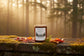 Woodland Estate | Mahogany + Teakwood + Oakmoss Coconut Soy Wax Candle