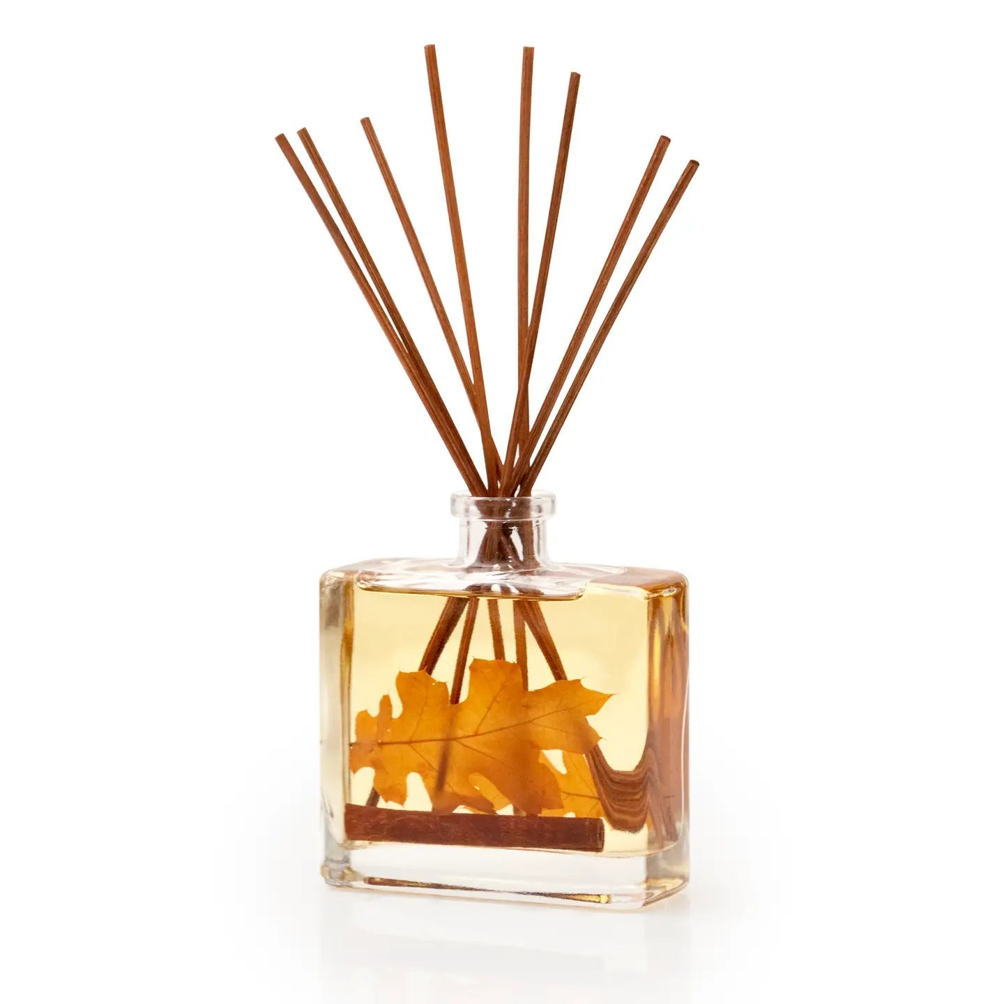 Blissful Harvest Botanical Reed Diffuser - Saltbox Sash