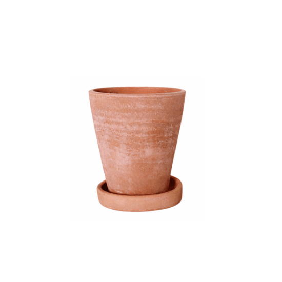 Concrete Washed Terracotta Planter - Saltbox Sash