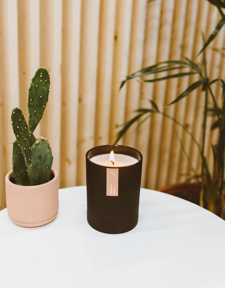 Desert Agave Soy Candle - Saltbox Sash