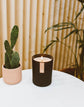 Desert Agave Soy Candle - Saltbox Sash