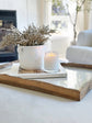 Dwell | Bergamot + Mahogany Fluted Coconut Wax Candle - Saltbox Sash