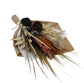 English Pond Bouquet - Saltbox Sash