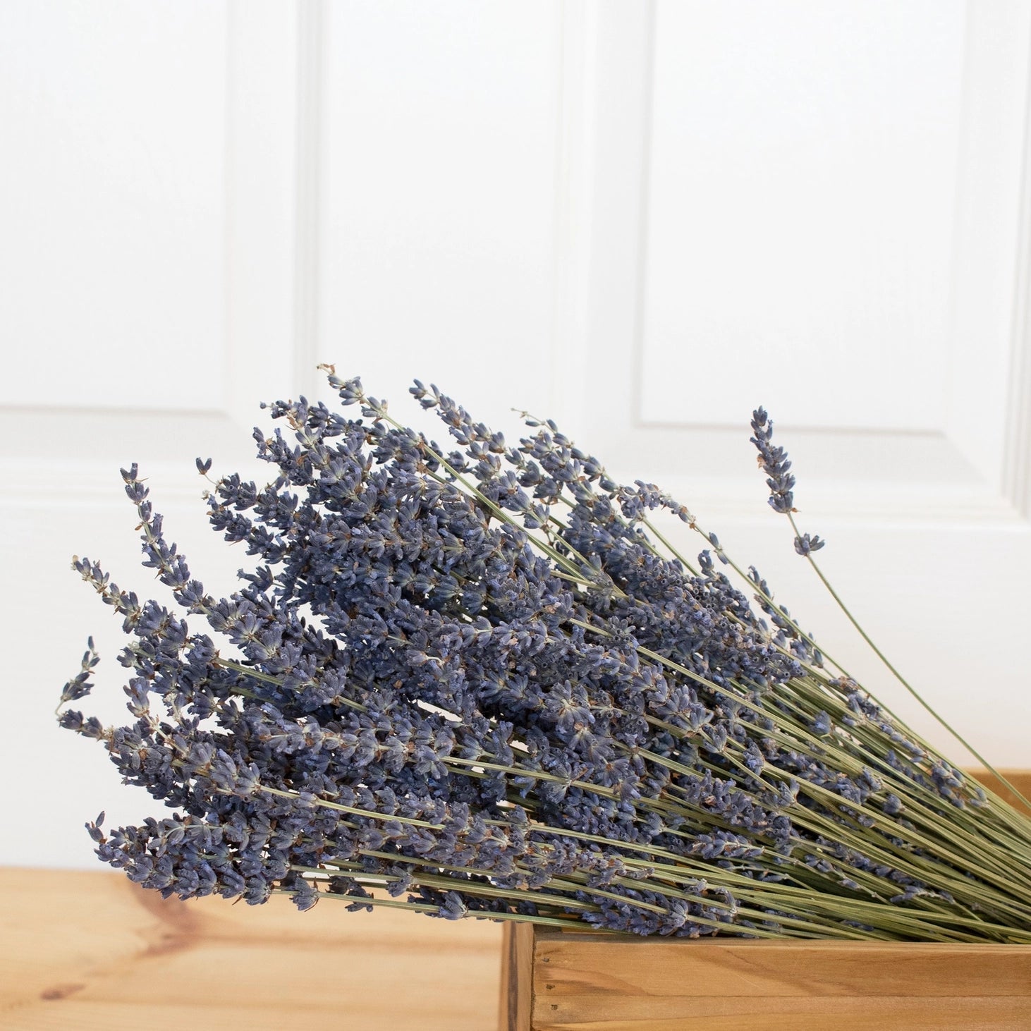 French Lavender Bundle - Saltbox Sash