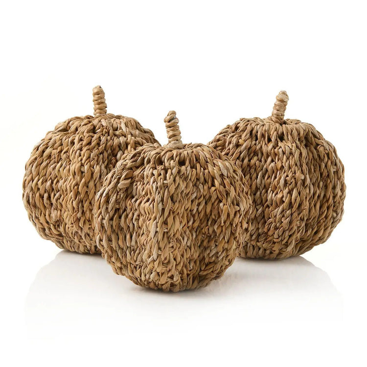 Hogla Pumpkin - Saltbox Sash