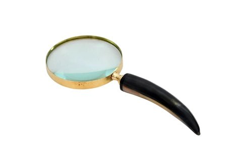 Horn Handle Magnifying Glass - Large - Saltbox Sash