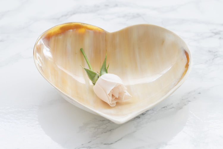 Ankole Horn Heart Bowl - Saltbox Sash