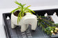 Kisii Soapstone Elephant Planter