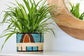 Kukua Basket Planter