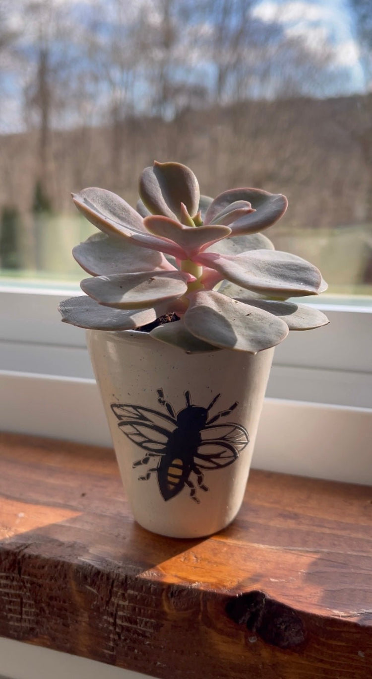 Mini Honeybee Vase - Saltbox Sash