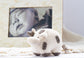 Organic Cotton Cow Toy