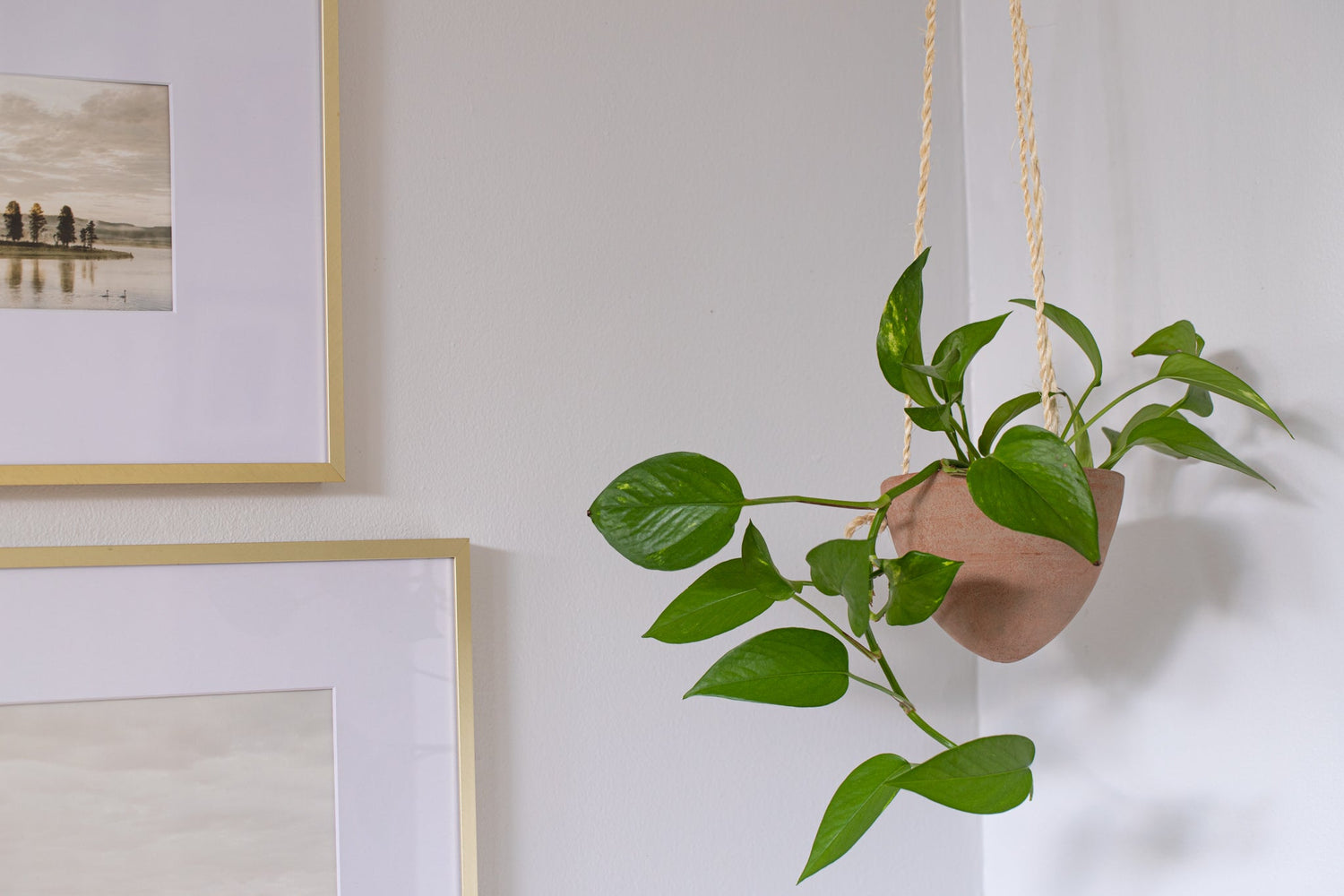 Small Hanging Planter with Natural Fiber Hanger - Saltbox Sash