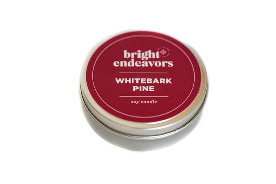 White Bark Pine Soy Candle 4 OZ. - Saltbox Sash